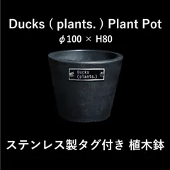 Ducks plants ステンレスタグ付き鉢 植木鉢 φ100×H80 鉢 鉢植え プラントポット