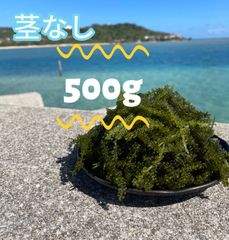 宮古島 直送 生 海ぶどう 茎つき 2キロ 宮古島産（生）海ぶどう2キロ 茎つき（250g×8パック）タレ16