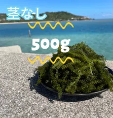 【最短翌日発送】鮮度抜群！やんばる産海ぶどう茎付2000g 最短翌日発送】鮮度抜群！やんばる産海ぶどう茎付1000g - メルカリ