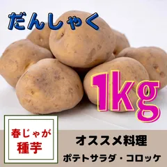 2024年最新】男爵 種芋の人気アイテム - メルカリ