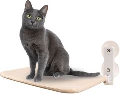 Item thumbnail for item 7bcf0a11-cb7b-48fc-9344-1b2399fdda4e