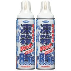 【まとめ買い】2個 セットフマキラー 凍殺ジェット 這う虫・飛ぶ虫用 300ml 