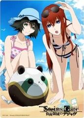 [중고] 밑받침 마키세 홍리스 & 시이나 마유리(수영복) B5 밑받침 [극장판 STEINS;GATE 부하 영역의 디자브]