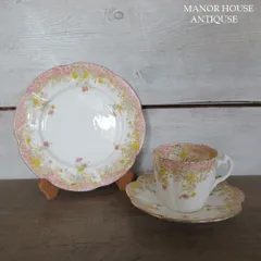 ワイルマン　プレート　イギリス　アンティーク　Wileman Rare Antique Foley Wileman Pre Shelley Blossom Trio Cups