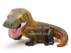新！【動物の惑星】コモドドラゴン フィギュア