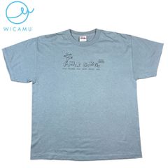 【USA古着】Hanes ヘインズ 90s 00s HEAVYWEIGHT L Tシャツ 水色 50/50 POWER SURGE 宗教 キリスト教 弟子訓練 キャンプ KIDS レア プリント Tシャツ ダブルステッチ