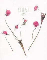 Kiyoharu CLIPS II(ミュージッククリップ集) [Blu-ray]