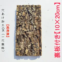 2025年最新】コルク樹皮 ビカクシダの人気アイテム - メルカリ