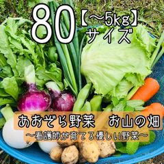 【80サイズ/常温】看護師が育てる優しい野菜詰め合わせ　採れたて野菜詰合