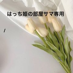 はっち姫の部屋サマ専用