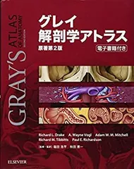 2025年最新】グレイ解剖学 第4版の人気アイテム - メルカリ