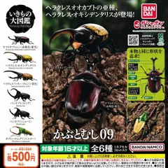 いきもの大図鑑 かぶとむし09 [全6種セット フルコンプ] ガチャガチャ カプセルトイ