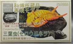 Amazon.co.jp: 科博所蔵品再現モデル 三葉虫(セロウリネラ