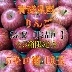☆5箱限定☆青森県産りんご　ふじ（良品）5キロ箱
