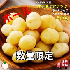 SALE品　うす塩　素焼きマカダミアホール500g おやつ　おつまみ　数量限定
