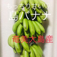 奄美大島産　無農薬栽培　島バナナ
