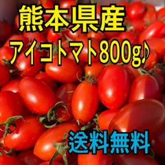 熊本県産　アイコトマト　800g　秀品