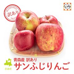 11月上旬～12月上旬発送＼ りんご の王道 ／【送料無料】 青森産 訳あり サンフジ りんご 約8kg 15〜34玉 「青森 訳あり サンフジ 8kg」 林檎
