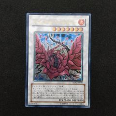 遊戯王 ブラックローズドラゴン アルティメットレアCSOC-JP039 - メルカリ