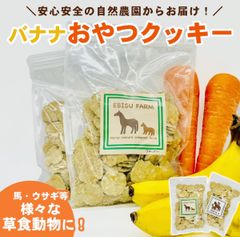 糖分補給 おやつ 天然素材手作りクッキー  400g 自然農法 有機野菜 無添加 無着色 ペット用 犬 猫 ハムスター ペット 馬 乗馬 EBISU エビスファーム 誕生日