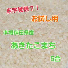 【秋田県産】 あきたこまち お試し用 5合