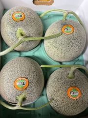 最高級富良野メロン秀品　ルピアレッド（特大玉4玉入り) 　赤肉　富良野産　北海道