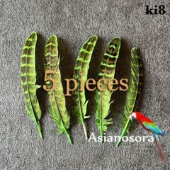 ◾️⭐︎【ki8 黄緑】5枚キジ 鳥の羽根 フェザー 素材 パーツ