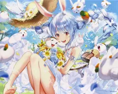 2025年最新】兎田ぺこら タペストリーの人気アイテム - メルカリ