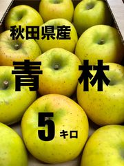 希少品種！秋田県産りんご　青林　5キロ特大サイズ