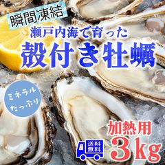 牡蠣 冷凍 カキ かき 貝 かい 殻付き SMサイズ 真牡蠣 瀬戸内産 3キロ 産地直送 バーベキュー BBQ 加熱用 送料無料 即日発送