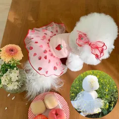 犬服 ペット服 シースルーワンピース