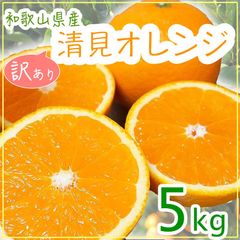 清見オレンジ 和歌山県産 訳あり 清見みかん 5kg ご自宅用