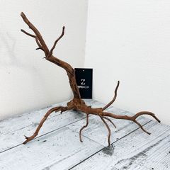 【左右に広がる枝が特徴的】プレミアムブランチウッド/Branchwood【B004】