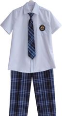 Item thumbnail for item 0a2a2932-9384-4790-b864-758d158909bb