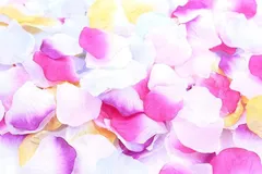 XP-SPORTS XPデザイン フラワーシャワー 結婚式ブーケ 造花 花びら 花びらのみ サプライズ フラワーペタル(グラデーション フォー シーズンズ/m)