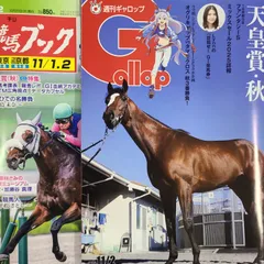 週刊ギャロップ　2000年　全巻 希少13冊セット 2000年〜2001年 週刊Gallop ギャロップ - メルカリ