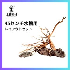 流木 45センチ水槽レイアウトセット アクアリウム用 流木・インテリア用流木