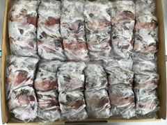 冷凍ヒヨコ 約300羽 - メルカリ