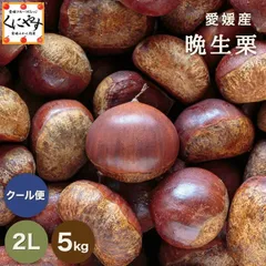 かきくけこ様　生栗　5キロ かきくけこ様 生栗 5キロ 楽天市場】生栗 5キロの通販