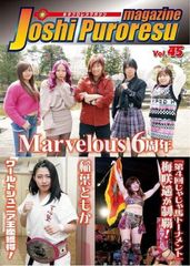 女子プロレスマガジン vol.45