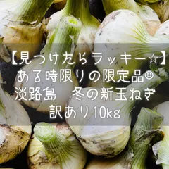 2024年最新】みずみずしいお野菜の人気アイテム - メルカリ