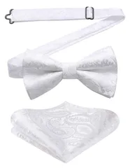 【数量限定】セット チーフ 結婚式 ボウタイ ペイズリー柄 フック式 ワンタッチ 簡単着脱 メンズ 蝶ネクタイ プレゼント [HISDERN]