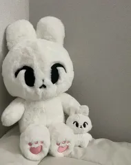 NCT ドヨン ワント 왕또 ぬいぐるみ 40cm フォトカードホルダー セット Amazon | NCTドヨン ぬいぐるみ 「ワント」 45cm うさぎ ハト