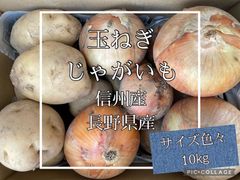 玉ねぎ・じゃが芋10㎏　　長野県産　信州産