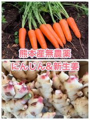 熊本産無農薬にんじん&新生姜1.2キロ