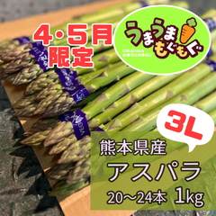 【期間限定品】熊本県産　グリーンアスパラ ３L 1kg（20～24本） 極太　アスパラ　あすぱら