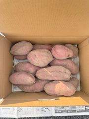 さつまいも　パープルスイートロード　5キロ入り