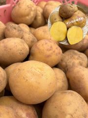 激安 A級品 希少品種 インカのめざめ 長崎県産 産地直送 5kg