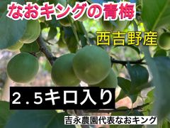 予約販売  青梅 西吉野産 2.5キロ入り 6月上旬発送 梅