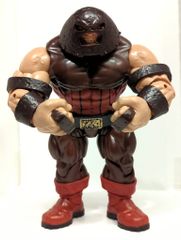 ベイダー フィギュア WWE ビッグバンベイダー 新日本プロレス レオン